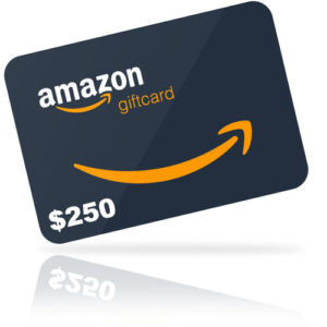 $250.00 Amazon Gift Card